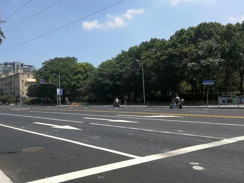 為民辦實事 寶山區7條道路變身精品示范路
